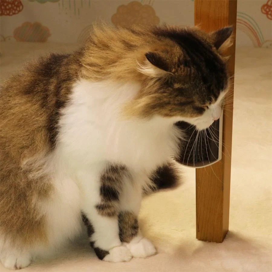CattyMan Cat Self-Grooming Brush - Image 10