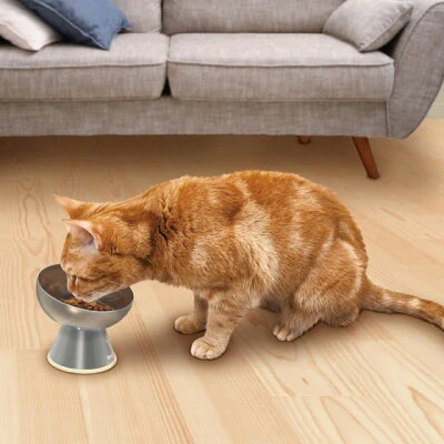 CattyMan Raised Stainless Steel Cat Bowl - Image 3