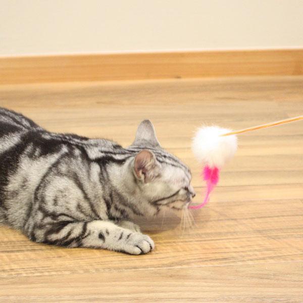 Cattyman Waltz Dancing Cat Teaser Wand with Furry Tail and Ball - Image 5