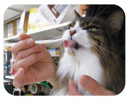 Mind Up Toothbrushing Liquid - Image 4