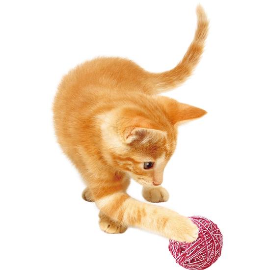 Nyanta Club Korokoro Ball Set with Mouse and Bell - Image 5