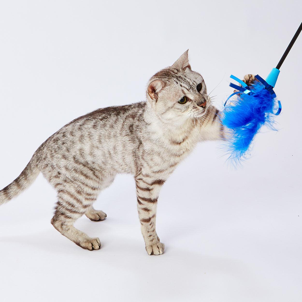 Petio Blue Feathers Cat Teaser Toy (Blue Toy Range) - Image 3