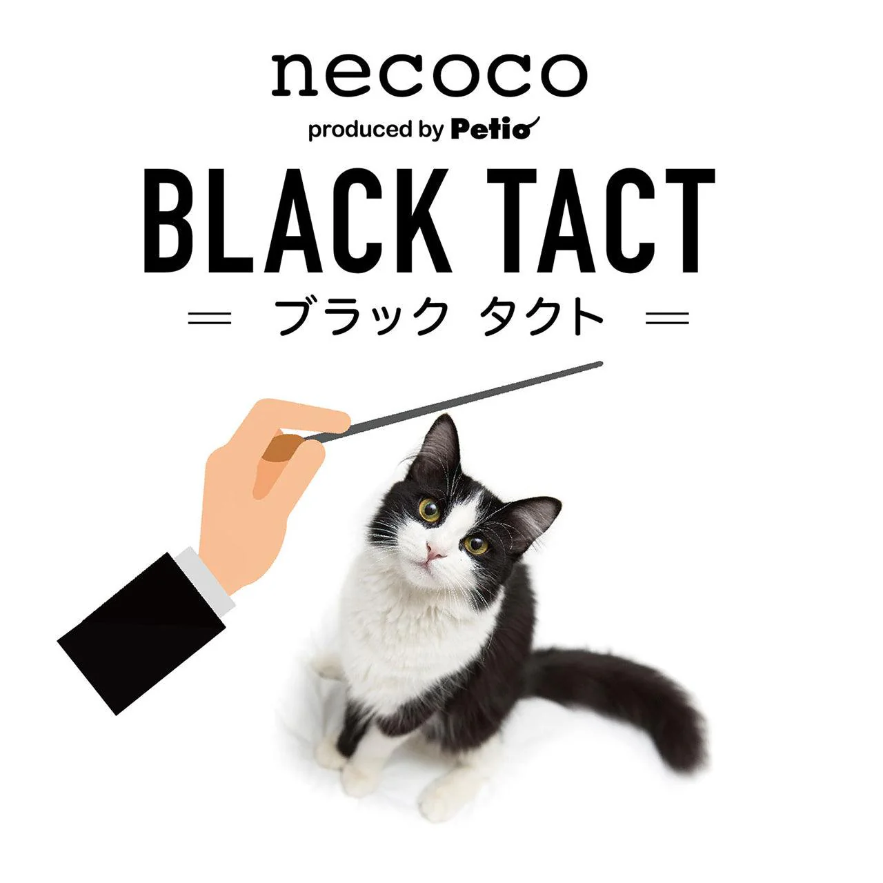 Petio Black Feather Cat Teaser Toy - Image 4