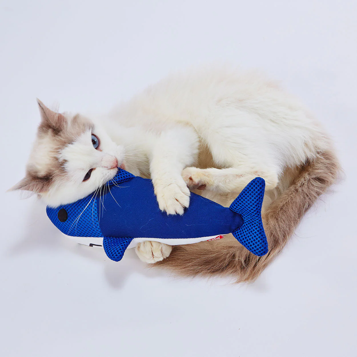 Petio Dental Care Whale Catnip Kicking Toy - Image 3