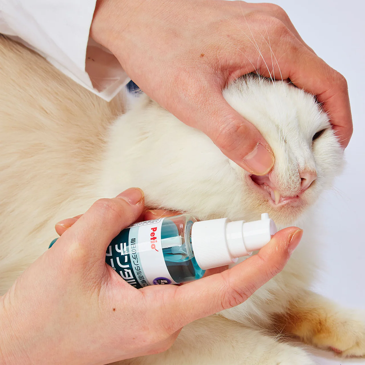 Petio Dental Spray for Pets 50ML - Image 3