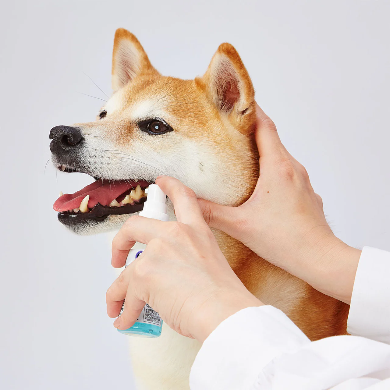 Petio Dental Spray for Pets 50ML - Image 4