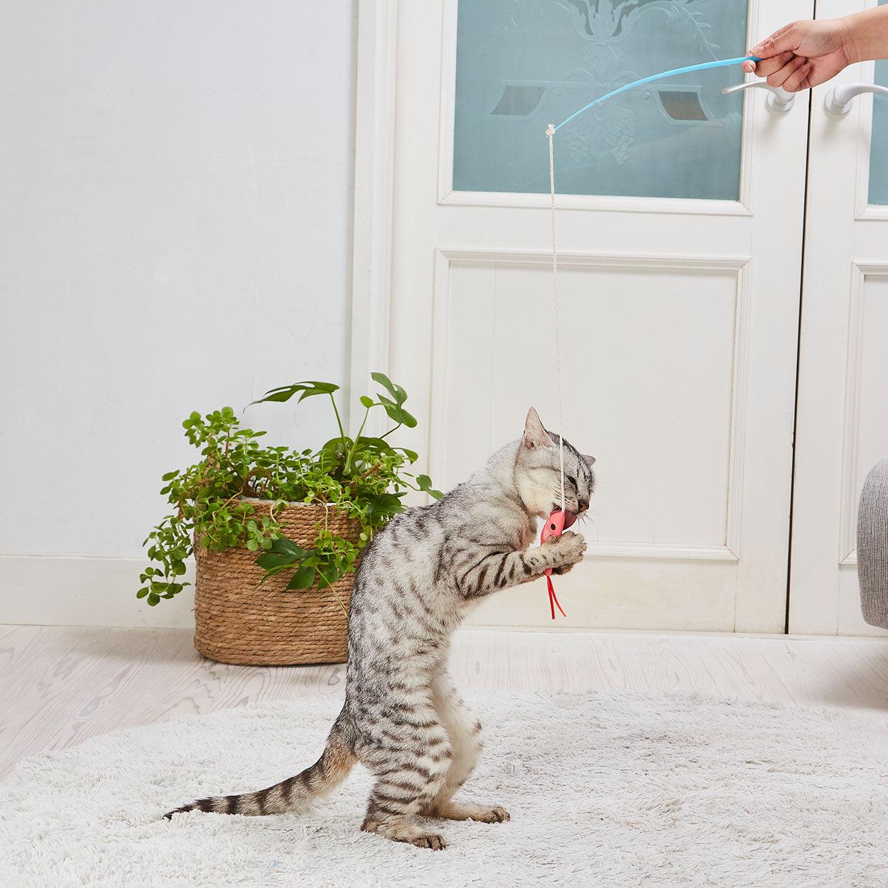 Petio Ebi Cat Teaser with Crinkly Film & Ribbon - Image 5