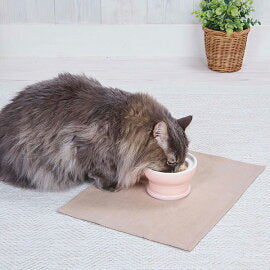 Petio Raised Stoneware Cat Bowl - Wet Food (Pink) - Image 4