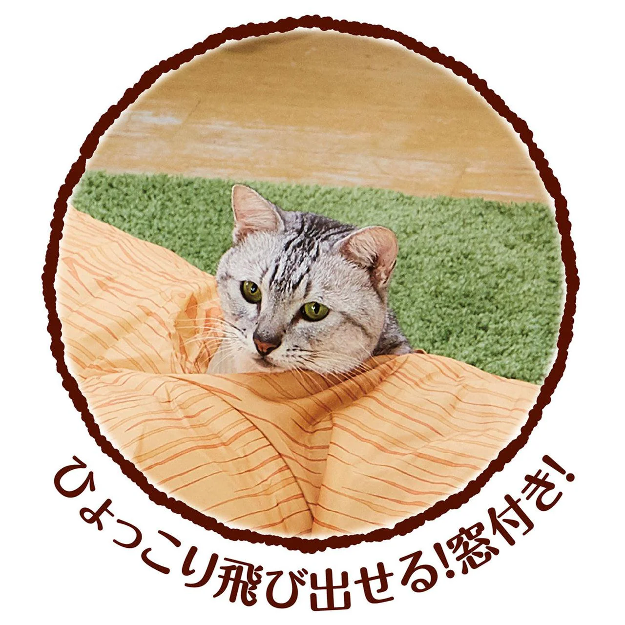 Petio Printed T-Shape Cat Tunnel with Shaker Sound - Image 4