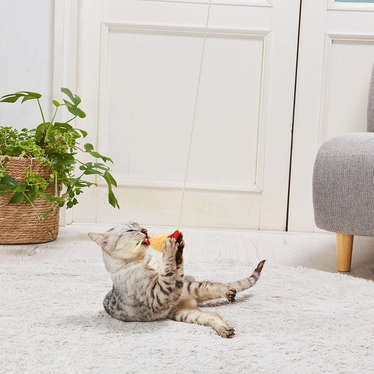 Petio Tempura Cat Teaser with Crinkly Film & Ribbon - Image 5
