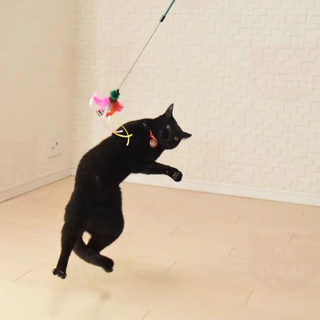 Petz Route Cat Teaser with Feathers & Ribbon - Orange - Image 3